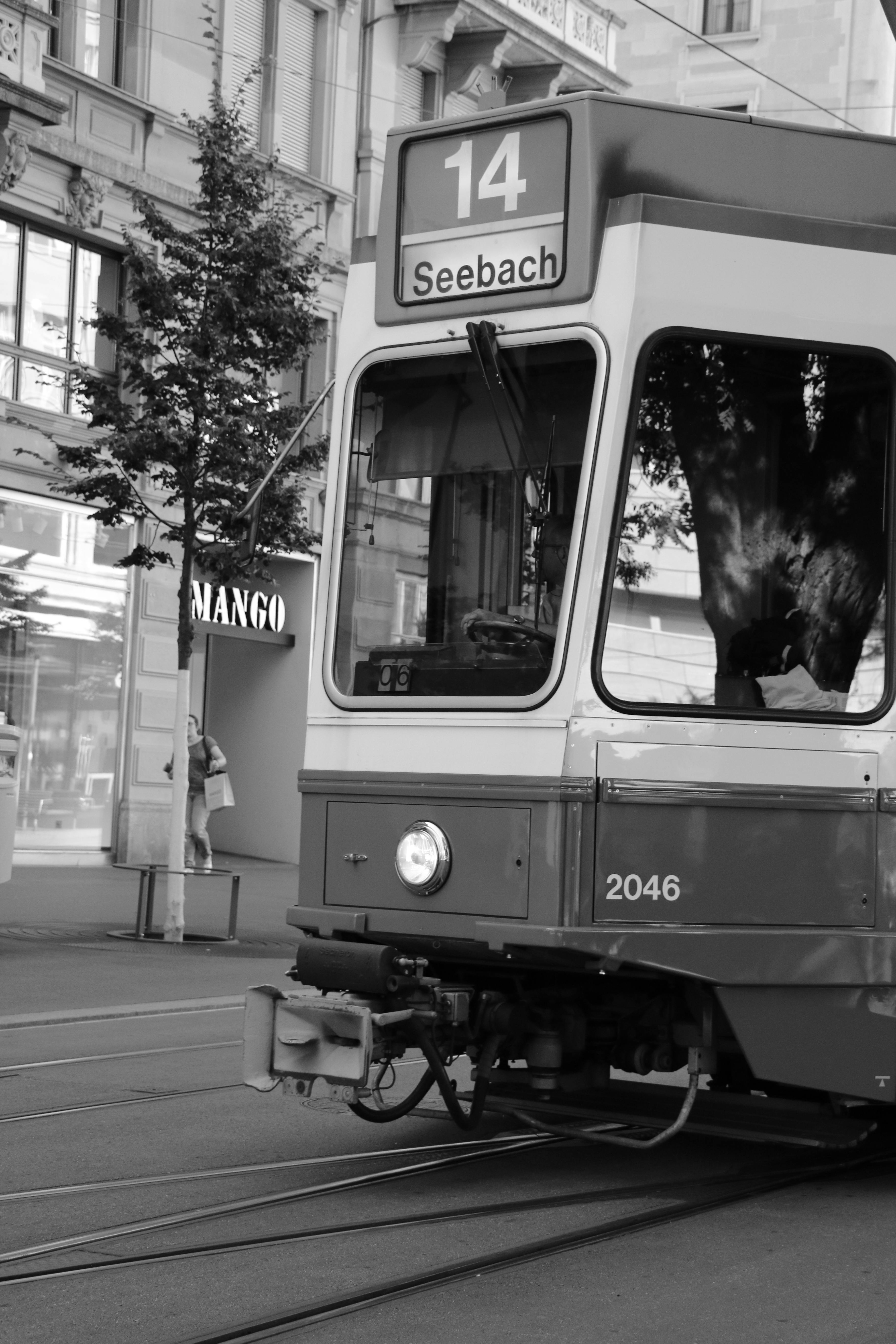 Immagine Storica Belloli